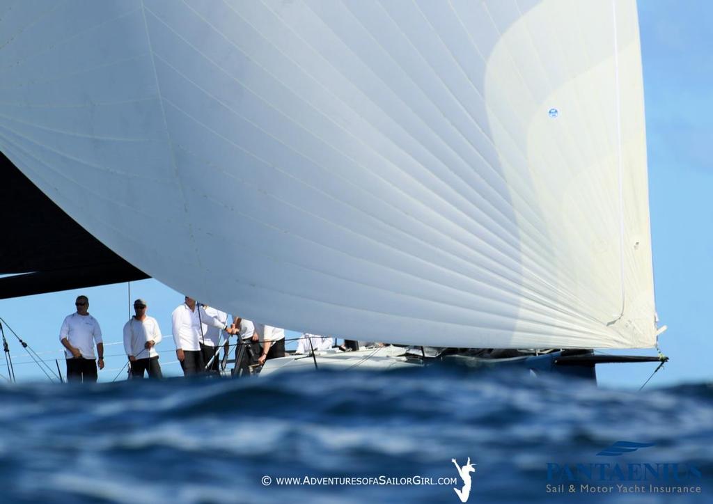 In the swell with Ichi Ban - Sail Port Stephens © Nic Douglass / www.AdventuresofaSailorGirl.com